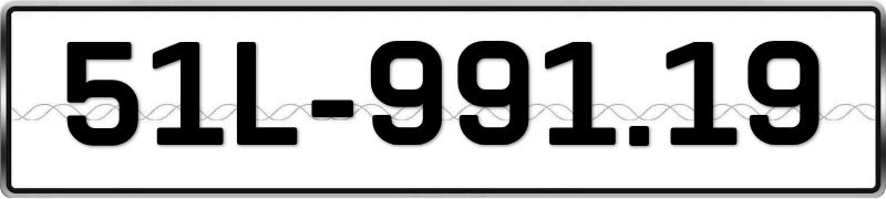 51L-99119