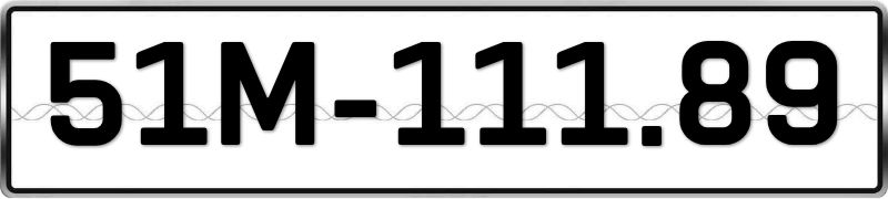 51M-11189