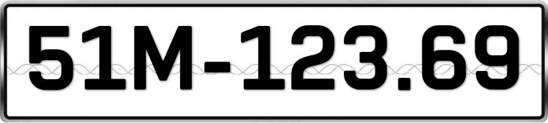 51M-12369