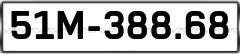 51M-38868